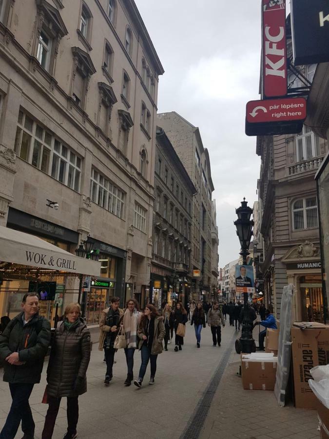 Choosy Flat Budapeszt